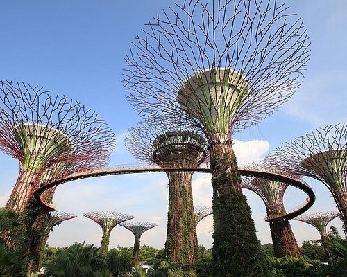 trips in singapore