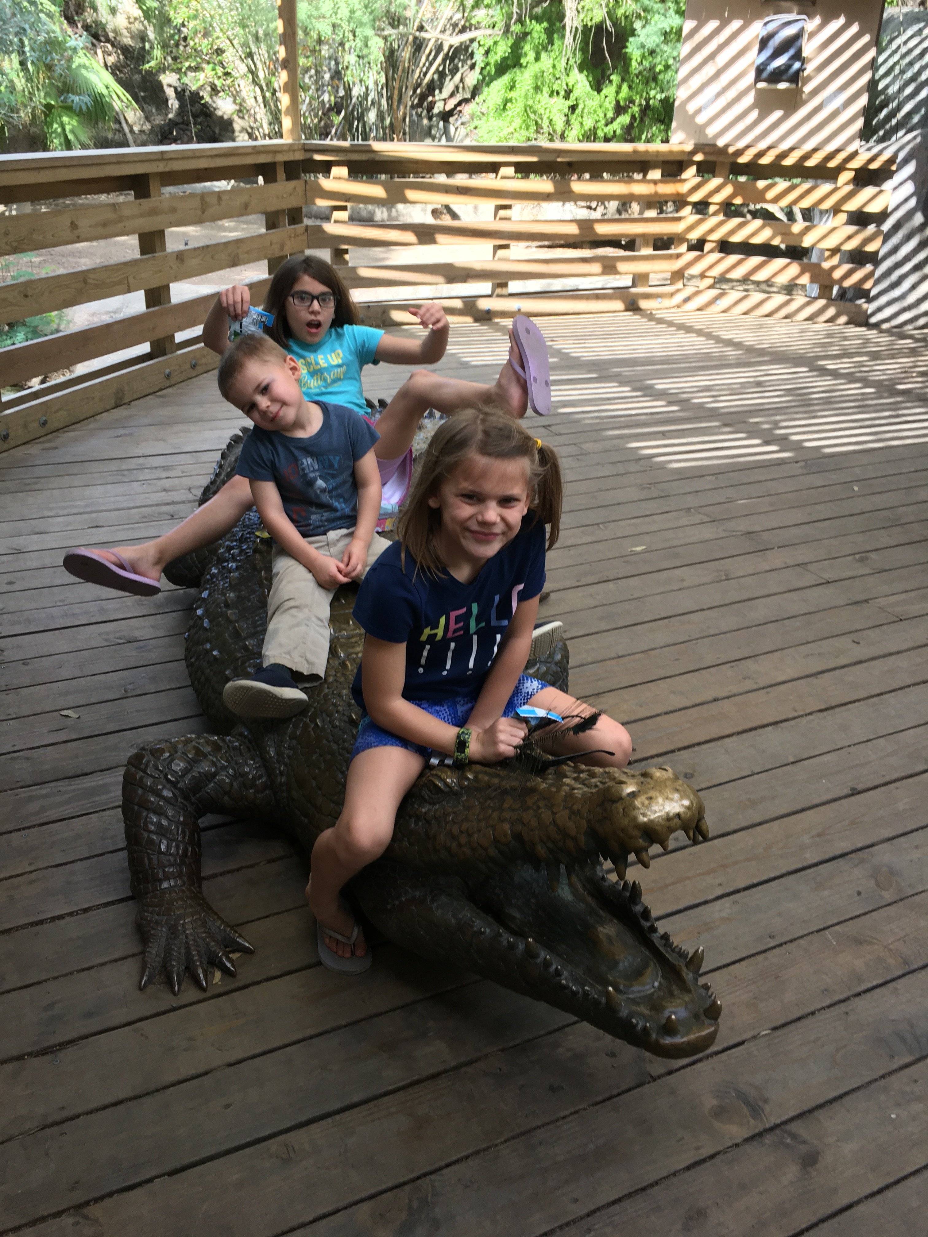 gladys porter zoo summer camps