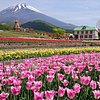 Things To Do in Fuji Safari Park, Restaurants in Fuji Safari Park