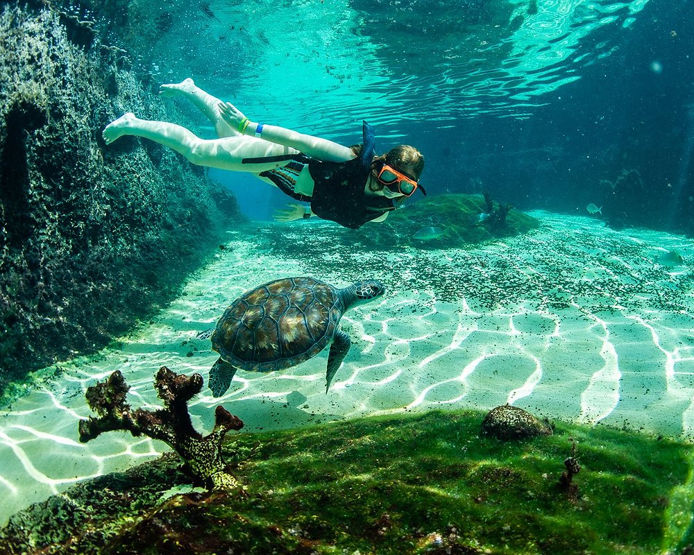 THE 15 BEST Things to Do in Grand Cayman 2024 (with Photos) Tripadvisor