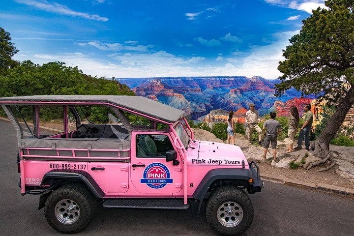 Ride fashion s pink jeep