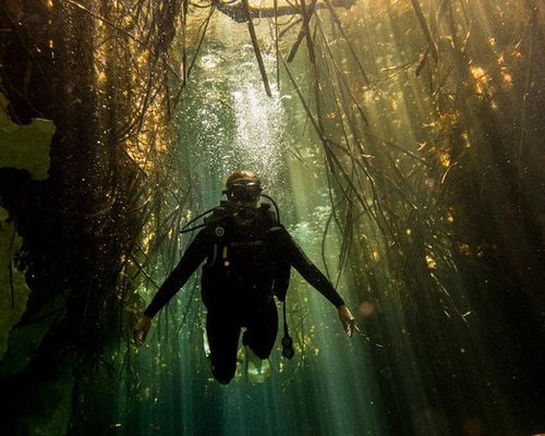 infinity diving tulum