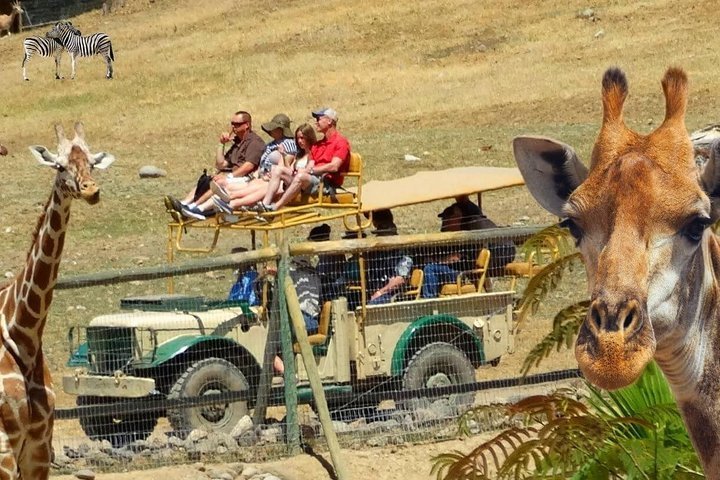 2024 Private Tour of Sonoma Wild Safari Animal Park and Sonoma Redwoods