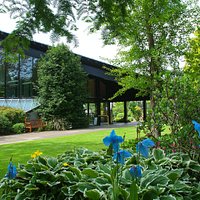 The welcome center at the Botanic Garden is an award winning entrance and orientation space that frames a visit to botanical wonders such as the Himalayan blue poppy (Meconopsis grandis).