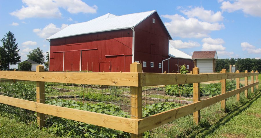 The Heritage Garden at Carter Historic Farm yields edible treasures.