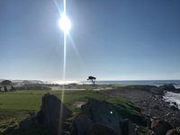 17 Mile Drive Monterey Aktuelle 2021 Lohnt Es Sich Mit Fotos Tripadvisor