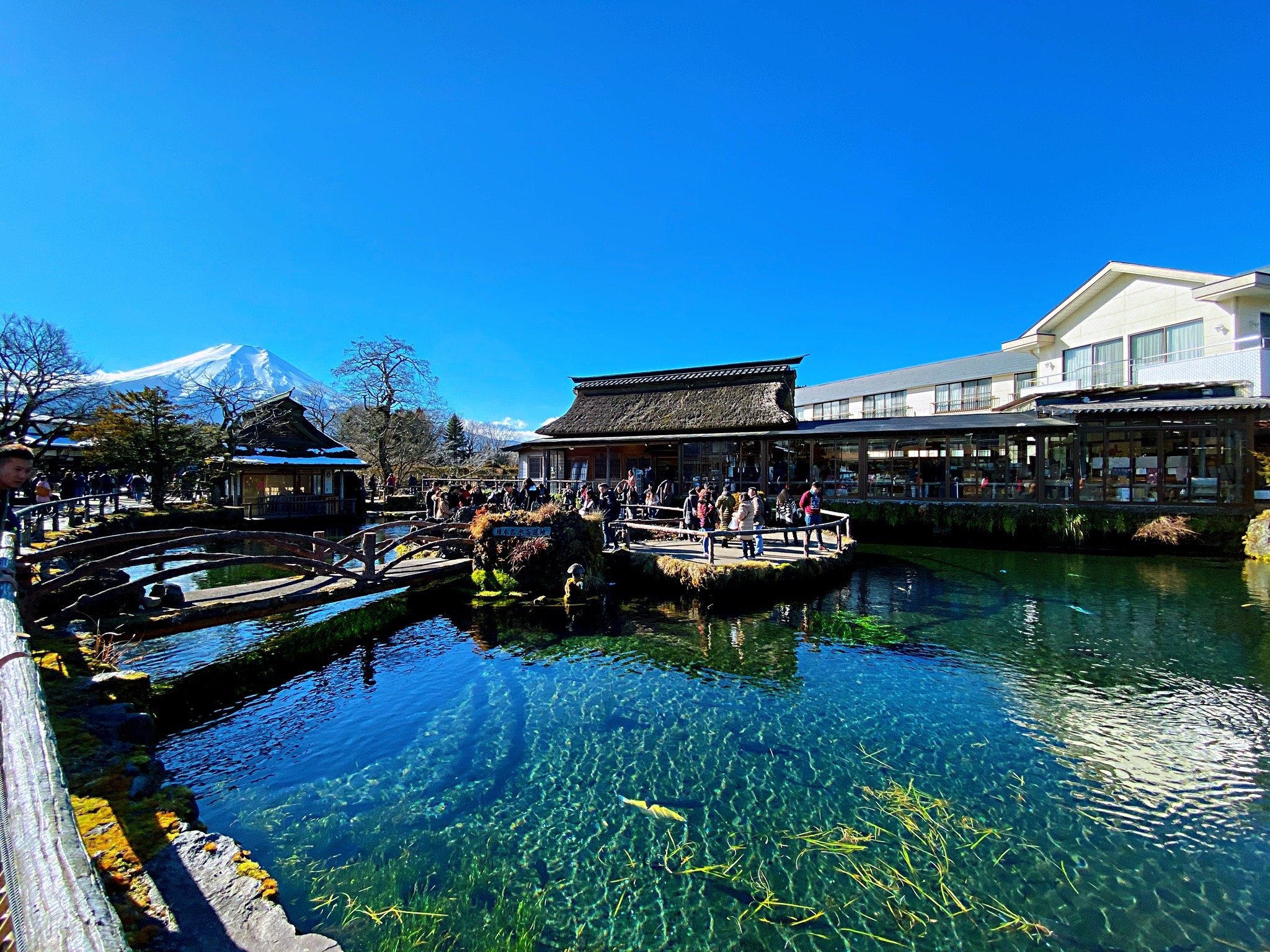 忍野村 旅行・観光ガイド 2023年 - トリップアドバイザー