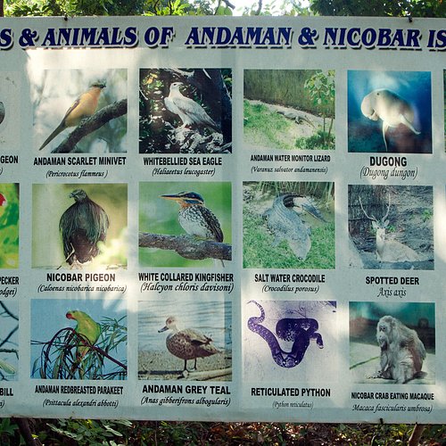 What to do and see in Andaman and Nicobar Islands, Andaman and Nicobar  Islands: The Best National Parks