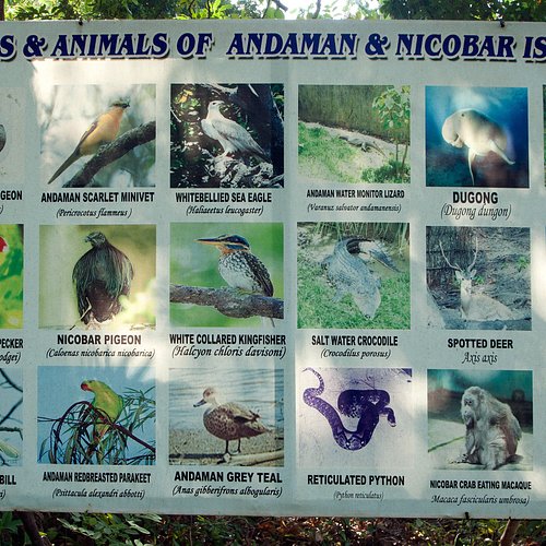 What to do and see in Andaman and Nicobar Islands, Andaman and Nicobar Islands: The Best National Parks What to do and see in Andaman and Nicobar Islands, Andaman and Nicobar Islands: The Best National Parks
