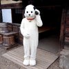 テラスノゾミ