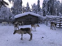 Fishing - Palosaari Reindeer and Fishing Farm, Kuusamo, Finland