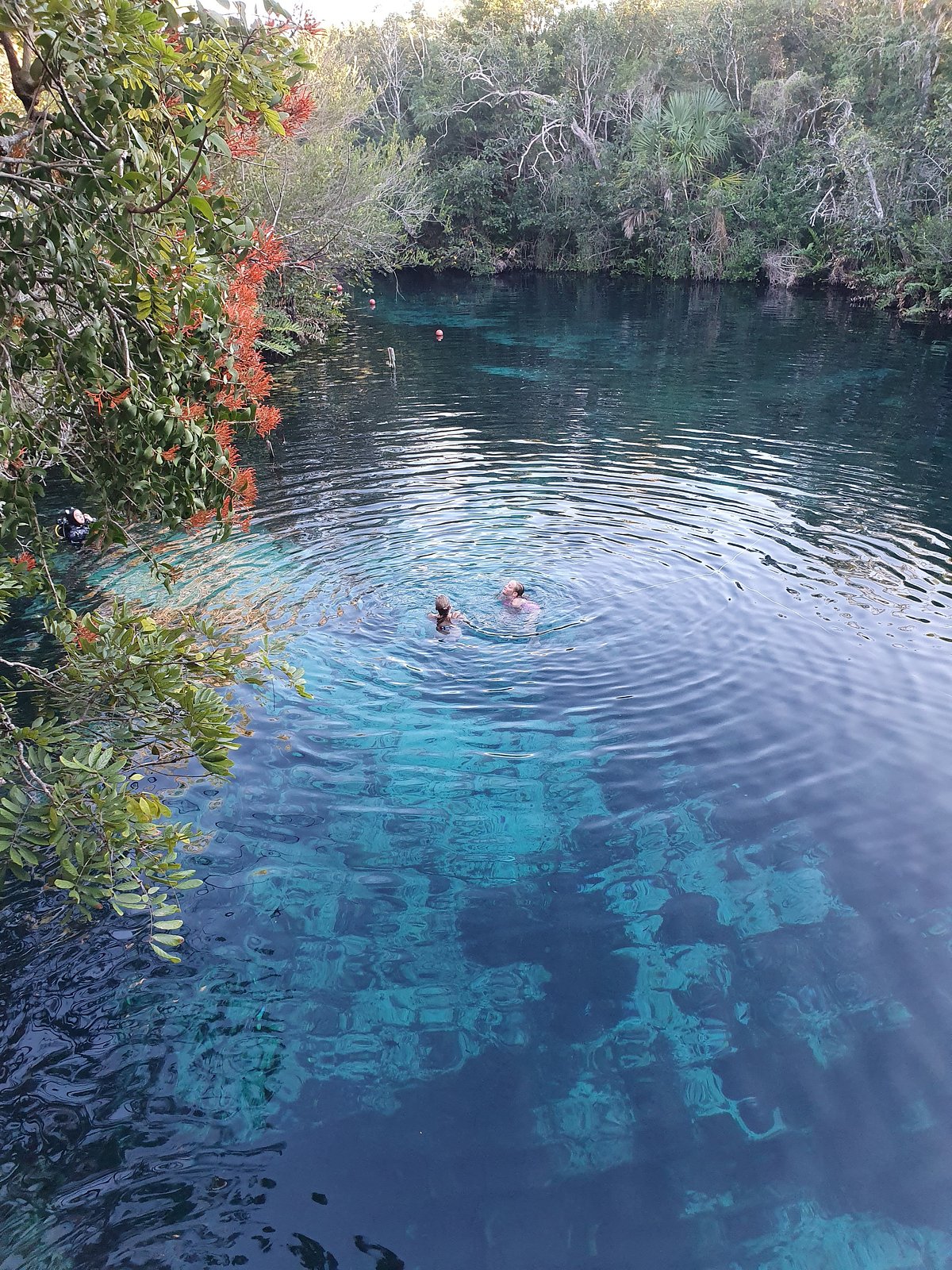 Cenote Carwash (Tulum) - All You Need to Know BEFORE You Go