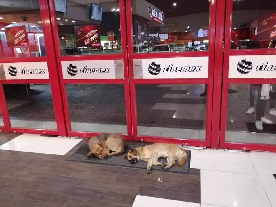 Cinemex Iztapalapa (Ciudad de México) - 2023 Lo que se debe saber antes de  viajar - Tripadvisor