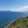 AnnaNZPorirua