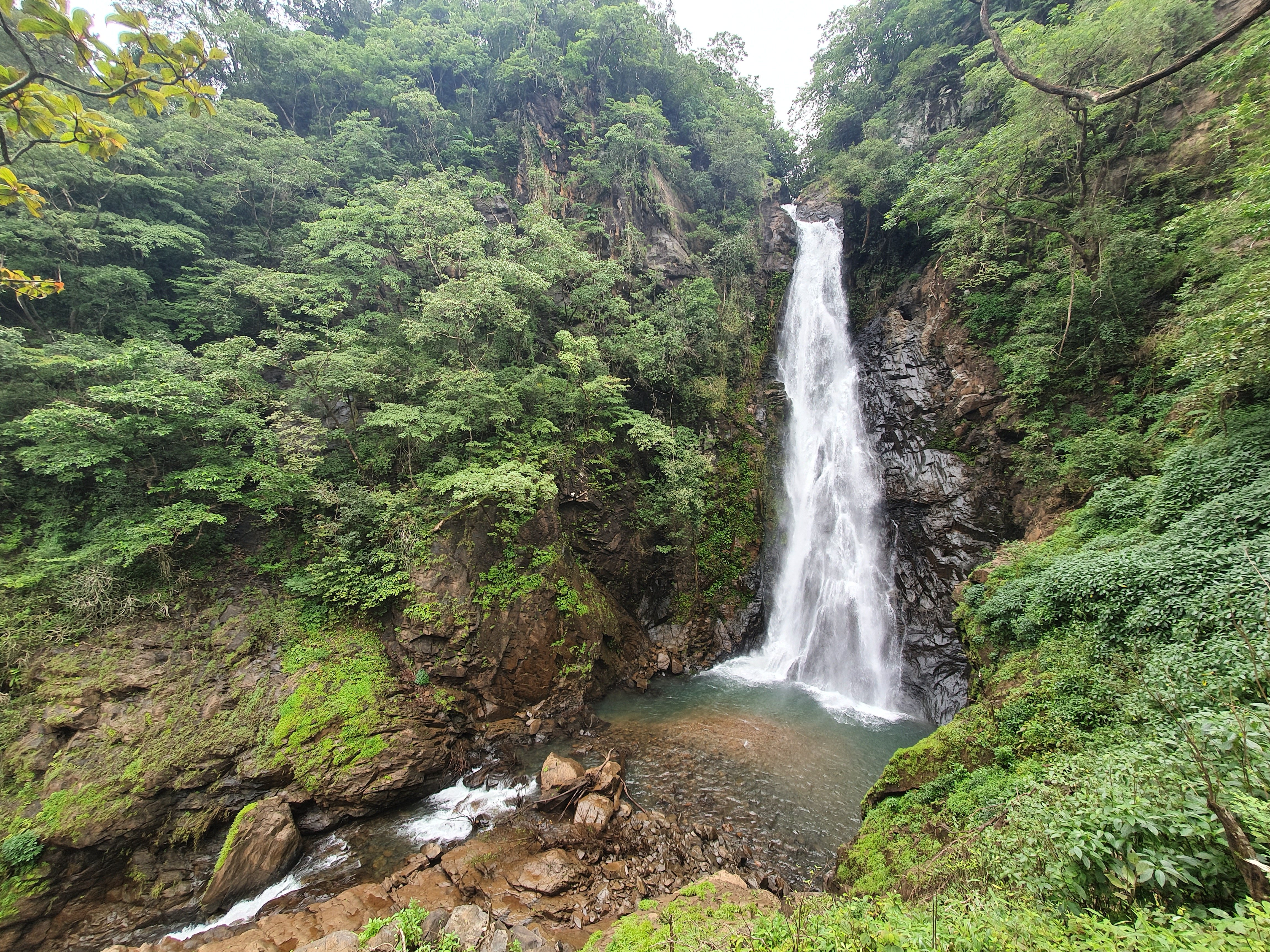 NETRAVALI WILDLIFE SANCTUARY: All You Need to Know BEFORE You Go (with  Photos)