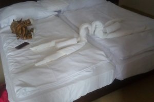 Room & Suite