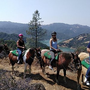 sonoma canopy tours reviews