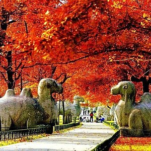 tempat wisata di nanjing china - Karen Ball