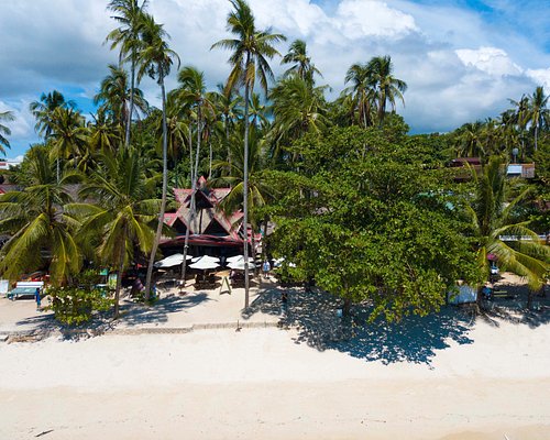 Will definite go back!!! - Review of Henann Resort Alona Beach, Panglao