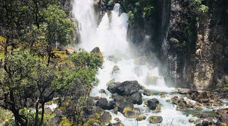 Tarawera Falls - 베이오브플랜티 - Tarawera Falls의 리뷰 - 트립어드바이저