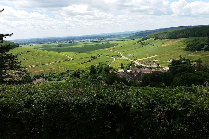 2024 (Beaune) Full-day Private Burgundy Wine Route Tour From Beaune