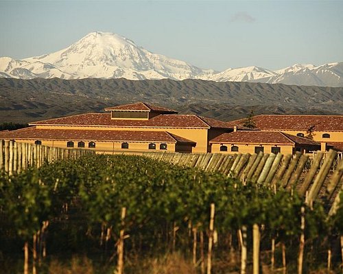 wine tours in mendoza argentina