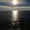 Carolin R