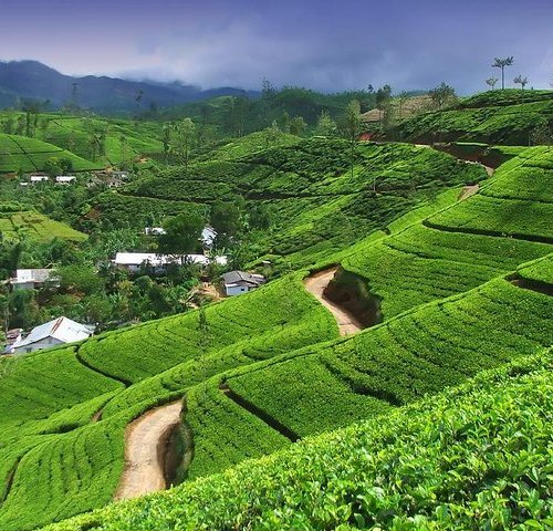 THE 15 BEST Things to Do in Nuwara Eliya - 2022 (with Photos) - Tripadvisor