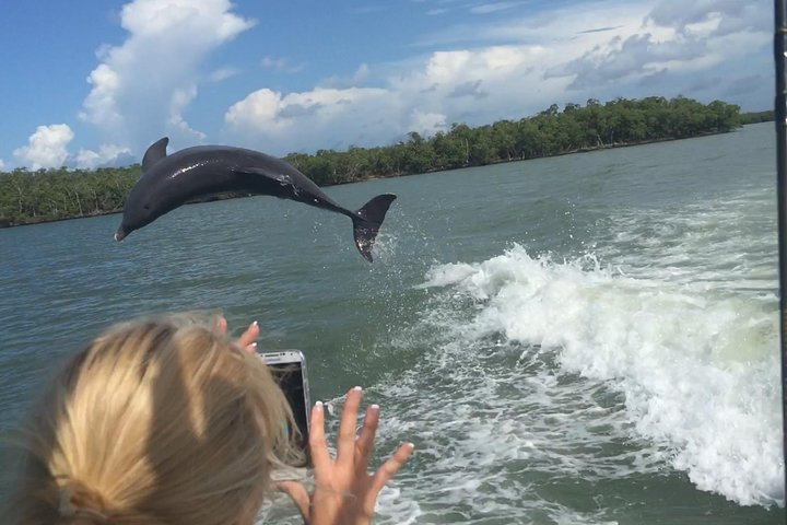 2023 Marco Island Dolphin-Watching And Shelling Tour