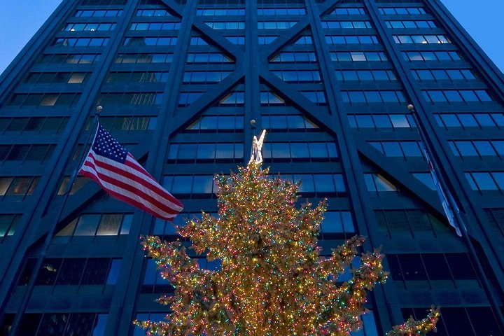 Michigan Avenue Chicago Christmas Lights