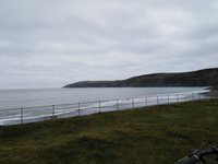 is aberdaron beach dog friendly