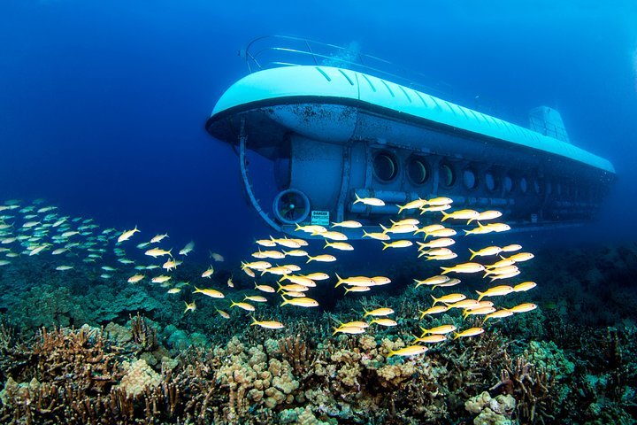 Atlantis discount submarine voyage