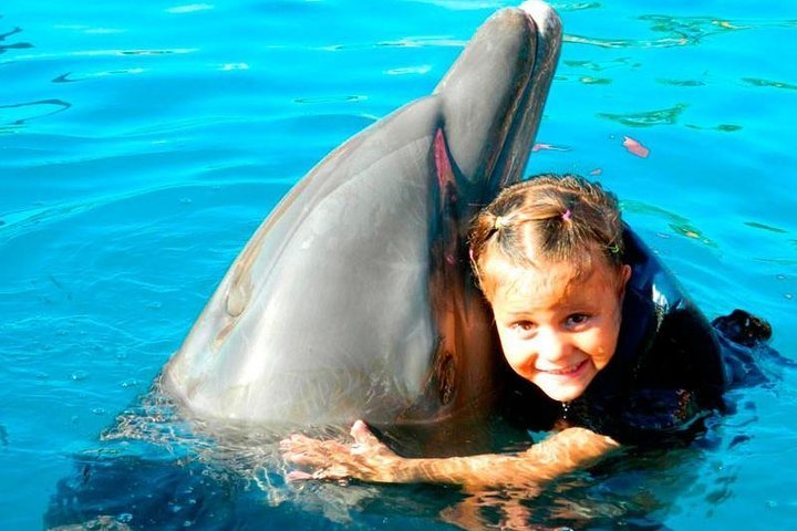 2024 (Cancun) Dolphin Encounter At Isla Mujeres