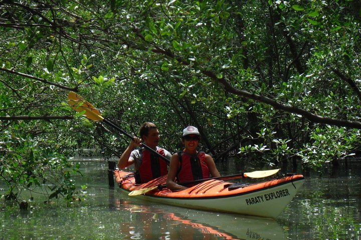 Excursão de 2 horas a pé da histórica cidade de Paraty, Brasil: experiência  oferecida por Paraty Explorer - Tripadvisor