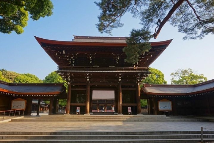 2024 Meiji Jingu Shrine Half-day Tour by public transportation