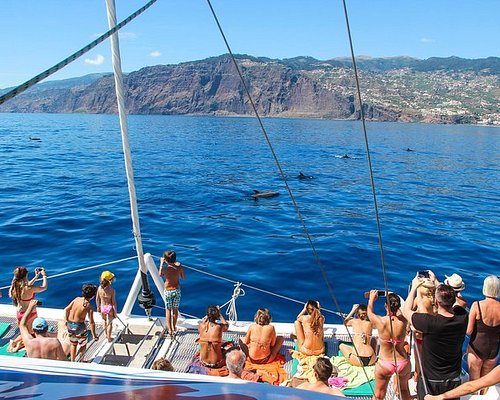 sea tours in madeira