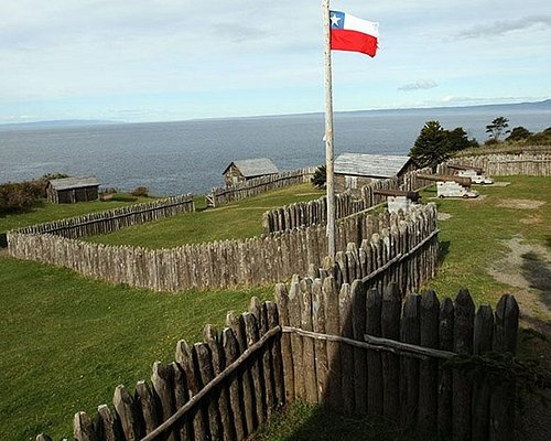 punta arenas free tour