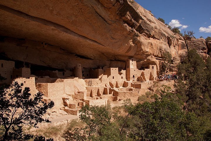 mesa verde bus tour