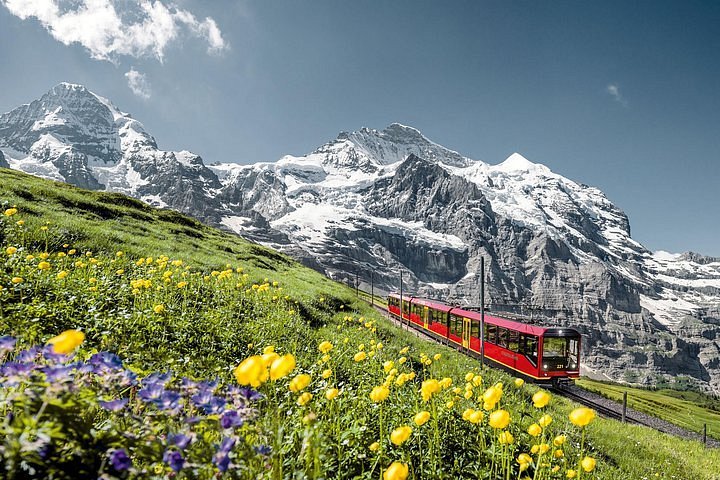 swiss travel pass interlaken to jungfraujoch