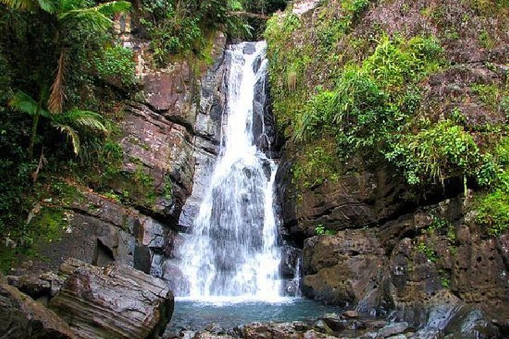 (Private) El Yunque tour - Transportation Included / 7am-12pm or 12pm-5pm