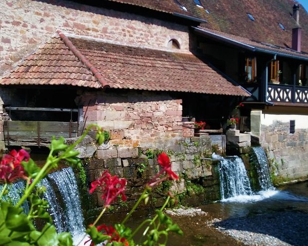 PARC DE L'EIBLEN (Ensisheim) - All You Need to Know BEFORE You Go