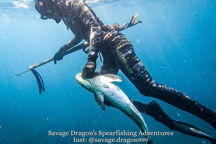 2024 Spearfishing in South Phu Quoc with the Savage Dragon