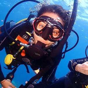 Le sac de plongée parfait existe-t-il ? - World Adventure Divers