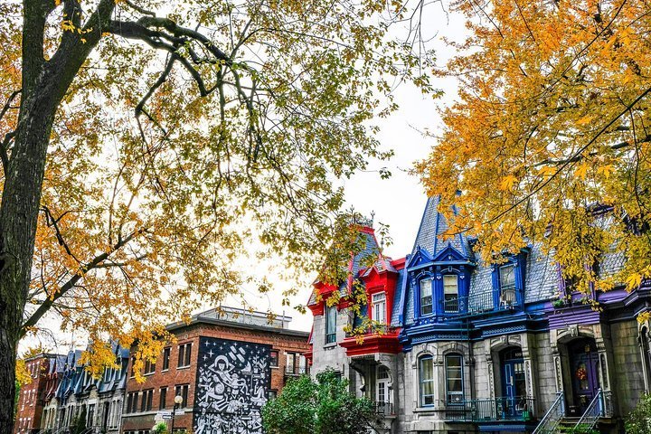 2023 Montreal's Plateau Mont-Royal & Mile End Walking Tour