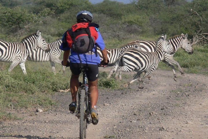 Kili Bike Adventures Moshi All You Need to Know BEFORE You Go