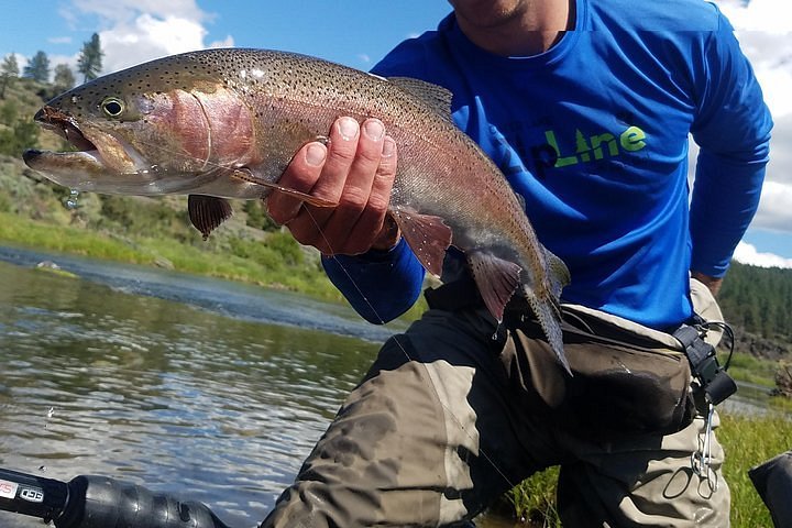 2024 Williamson River Fly Fishing provided by Storey's Fly Fishing