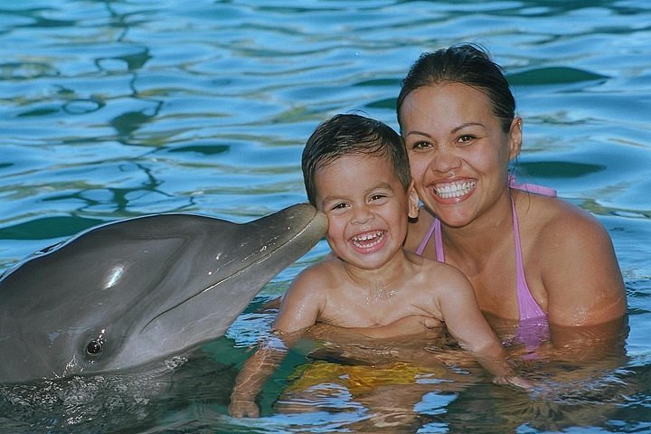 Tripadvisor Rencontre Avec Les Dauphins Sur Lîle De Blue Lagoon Au Départ De Nassau Proposé 