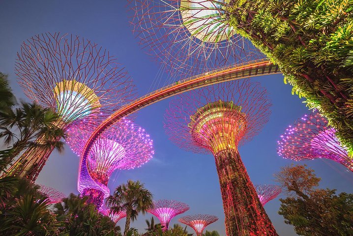 2024 Gardens by the Bay with 2 Flower Dome Marina Bay Sands Skypark