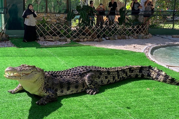 Tripadvisor | Entrada de cocodrilo Adventureland Langkawi | Malasia