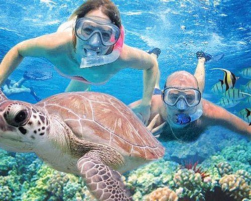 best snorkeling tour in kauai